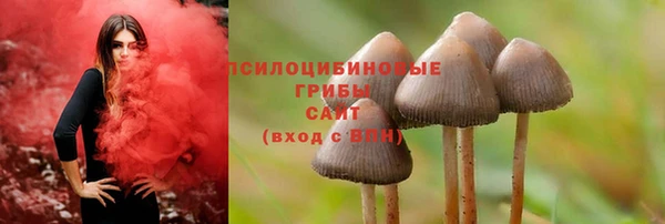 2c-b Балабаново