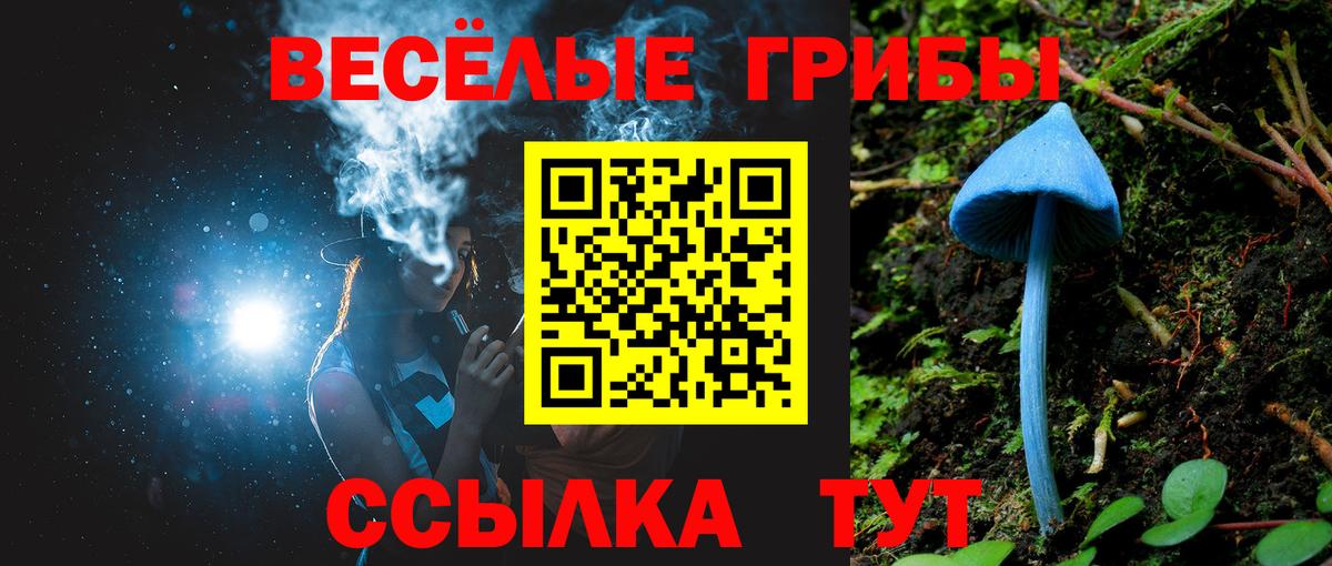 Кувандык  Псилоцибиновые грибы Psilocybine cubensis  Вход с VPN  Галлюциногенные грибы Psilocybine cubensis 